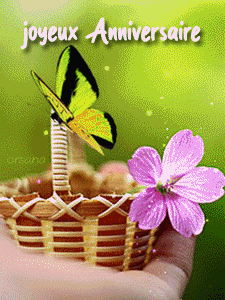 Gif animé joyeux anniversaire papillon